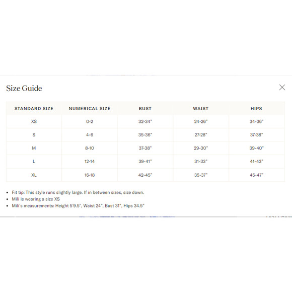 RO'S GARDEN Exclusive Bluefanny Rio Midi Dress SZ XS NWT Retail $200 Tuckernuck - Picture 3 of 8